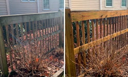 Deck & Fence Cleaning