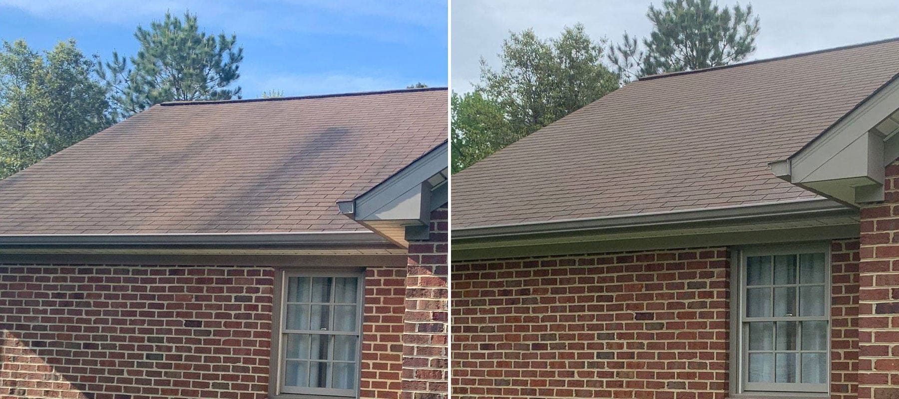 Before and After Roof Washing